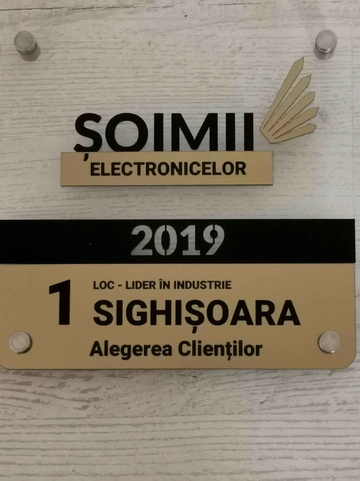 Placheta Șoimii Electronicelor 2019: Locul 1, Lider în industrie, Sighișoara, Alegerea Clienților